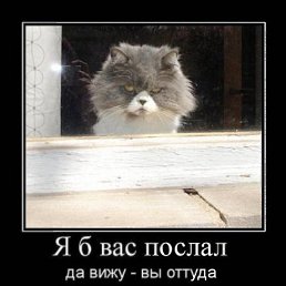 ���� ������, ��������, 34 ���� - ��������� 19 ������ 2011