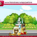    , , 24  -  26  2010   PetLove