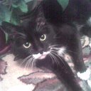 ��� ������ �� ������� ���� ����������