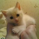 ���� �������, �������, 50 ��� - ��������� 5 ������ 2011