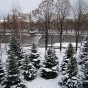 ���� ������� -------, ����������� - ��������� 1 ������� 2011 � ������ �߻