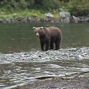 ���� ��������, ���������, 70 ��� - ��������� 15 ����� 2013 � ������ �� ������ � ��������� �����