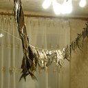  Sasha,  , 56  -  8  2012   