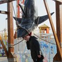 ���� Vlad, ���������, 50 ��� - ��������� 10 ������� 2011