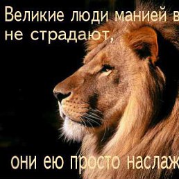 �������, ����-���������, 34 ����