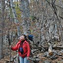    . 
 - !      2011 - 2