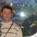 ���� �����, ������� - ��������� 10 ���� 2013 � ������ ���� ����������