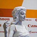    
  ,  2010   