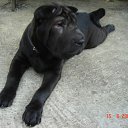 ���� ������, �������, 44 ���� - ��������� 29 ������� 2010