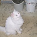 ���� ������, �����-��������� - ��������� 20 ����� 2012 � ������ ���� ����������