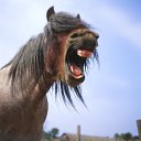 ���� ��������, ��������, 51 ��� - ��������� 2 ���� 2010 � ������ �������