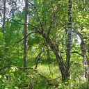 ���� ������, �������� - ��������� 19 ������� 2012 � ������ �������