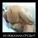 ���� Serega, ��������� - ��������� 15 ���� 2013 � ������ ��������������