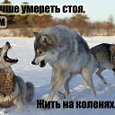 ���� ����, ������, 55 ��� - ��������� 25 ���� 2012 � ������ ���� ����������