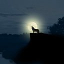 ���� Ghost_dog(�������), �����������, 44 ���� - ��������� 21 ������� 2012 � ������ ���� ����������