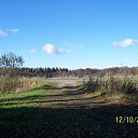  , , 36  -  20  2010    .