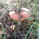 ���� ���, ����� - ��������� 20 �������� 2010 � ������ ��������� ������������