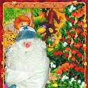 ���� ��������, ������, 55 ��� - ��������� 4 ������ 2010 � ������ �2�