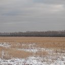  , , 41  -  12  2010