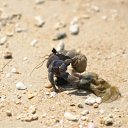 �� ������ � �����! (������ ������� � ��������� ������������ �� �������) �� ������� �������