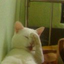 ���� Wer, ������, 57 ��� - ��������� 5 ����� 2010 � ������ �������-������