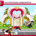  , , 42  -  6  2011   PetLove