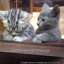 ���� ��������, ������ - ��������� 27 �������� 2010 � ������ ���������!!!�