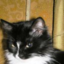  , , 35  -  12  2009   )))