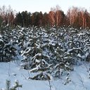 ���� �������, �������, 58 ��� - ��������� 29 ������ 2012 � ������ ��� �� ��� ������ �����������