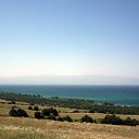 ���� ����������, ����, 75 ��� - ��������� 17 ������ 2012 � ������ �����-3�