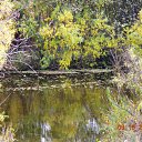  Sergey, , 65  -  11  2010   