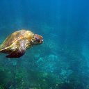 ���� ����� - ���������� ��������!!!, �����������, 56 ��� - ��������� 20 ������� 2009 � ������ ������������� ��������� � ��������� ���!�