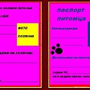  "",  -  2  2011    .