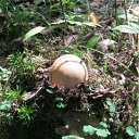 ���� ������, ���������, 47 ��� - ��������� 2 ������� 2012 � ������ �fdnjrkfd�