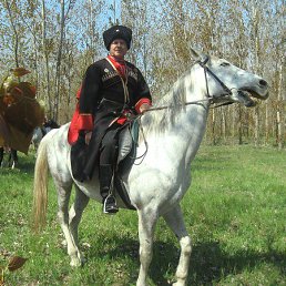 ������, ���������, 82 ����