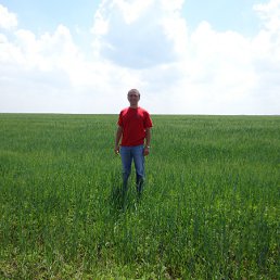 ���� �����, ��������, 43 ���� - ��������� 13 �������� 2012