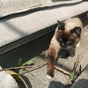 Ѹ��� - �������. �� ������� ���� �������� ���.�