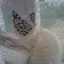 ���� ����, �������� - ��������� 22 �������� 2012 � ������ ����� �������)))�