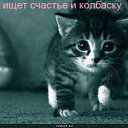 ���� ����, ������, 50 ��� - ��������� 22 ������ 2013 � ������ ���� ����������