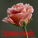 ���� ����, �������, 59 ��� - ��������� 1 ������� 2012 � ������ ������ ������