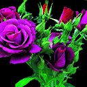 ���� Ramil, ����, 40 ��� - ��������� 27 ����� 2012