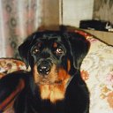 ���� �����, ������, 58 ��� - ��������� 24 ���� 2009 � ������ �����