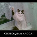 ���� ������������������������������������������������������������������, ��������, 39 ��� - ��������� 10 ���� 2010 � ������ ����ݻ