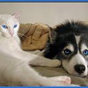 ���� ����, ������ - ��������� 16 ���� 2013