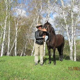 ���� ���������, ����, 57 ��� - ��������� 11 ��� 2013