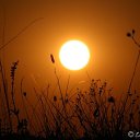 ���� Sergey ������, ������ - ��������� 6 ������ 2012 � ������ �������