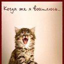 ���� Nusha, ������������, 53 ���� - ��������� 11 �������� 2009 � ������ ����������! :)�