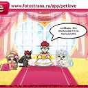  ......., , 34  -  12  2010   PetLove