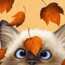 ���� �����, ������ - ��������� 26 ������ 2012 � ������ �����������