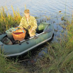 �������, ������ ��������, 67 ���